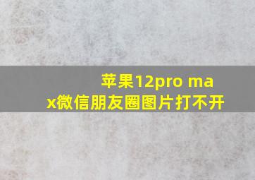 苹果12pro max微信朋友圈图片打不开